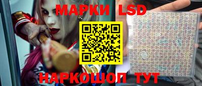 СК Заводоуковск