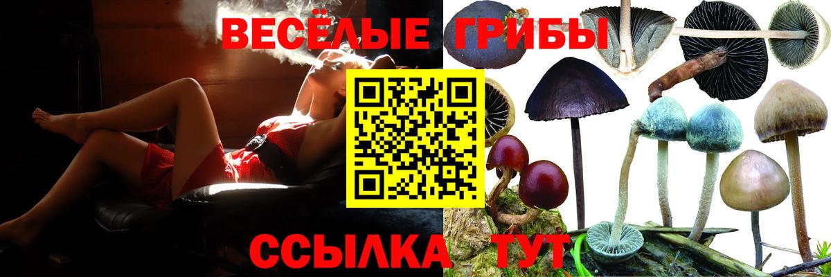 цены   Галлюциногенные грибы ЛСД  Вход с VPN  Тамбов 